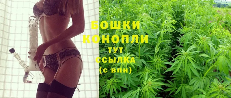 Бошки марихуана THC 21%  мориарти Telegram  Каргат 